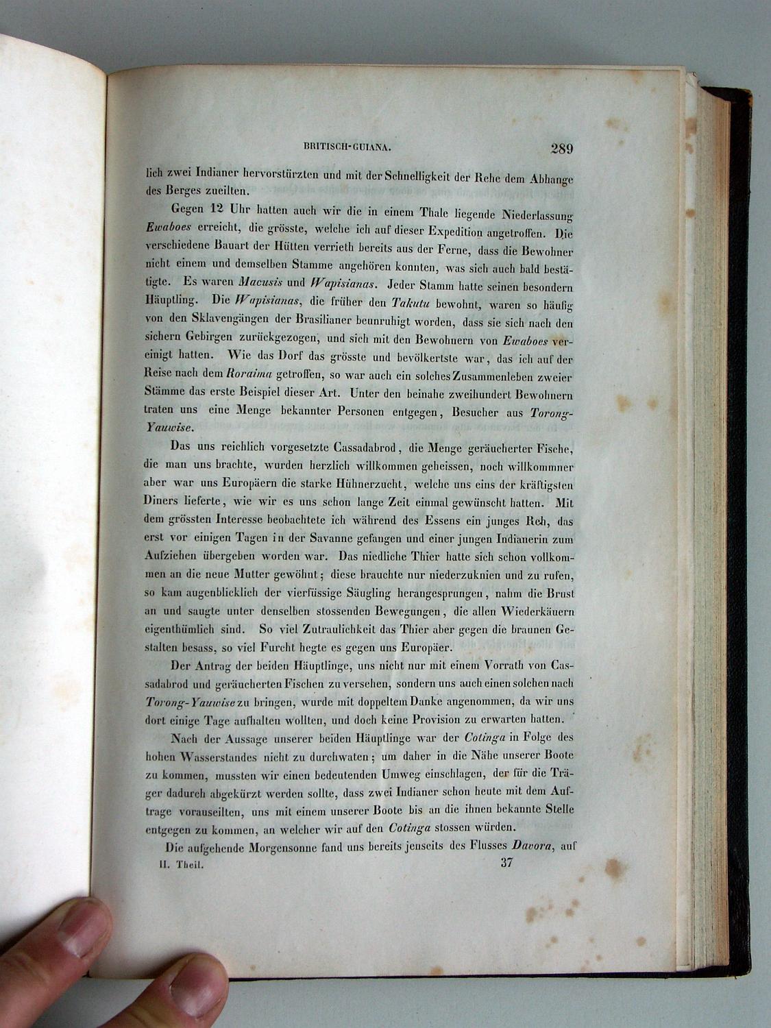 ZZ-RISC48,S.289 Dorf Ewaboes mit Macushi und Wapisiana